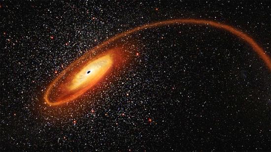 TDE Accretion Disks